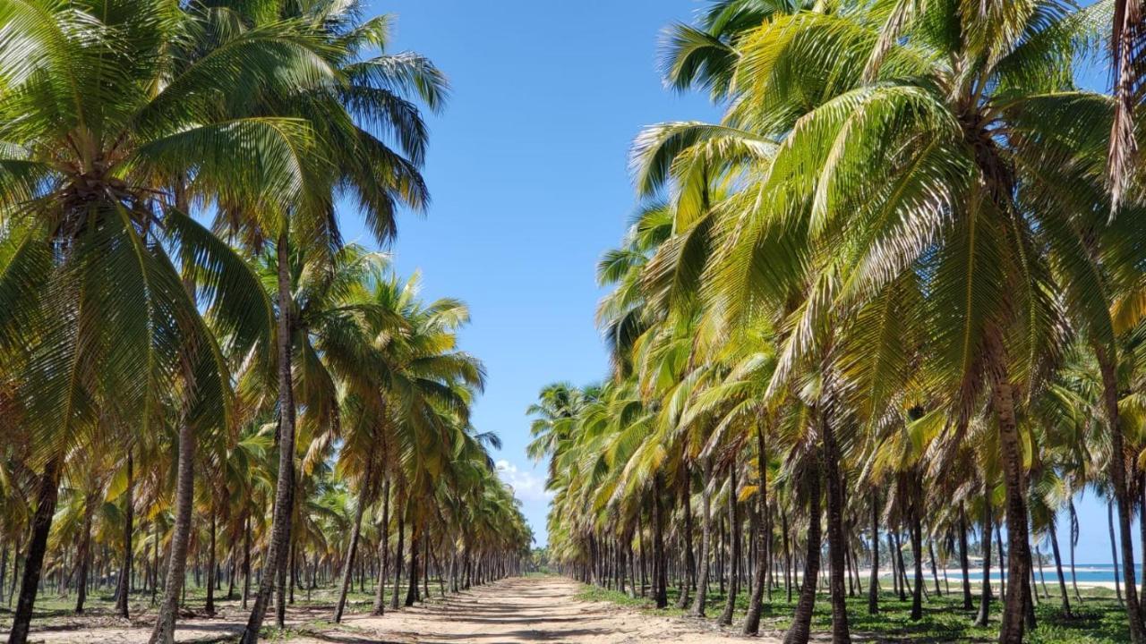 Solar Teixeira Residencial Lejlighed Pôrto das Galinhas Eksteriør billede